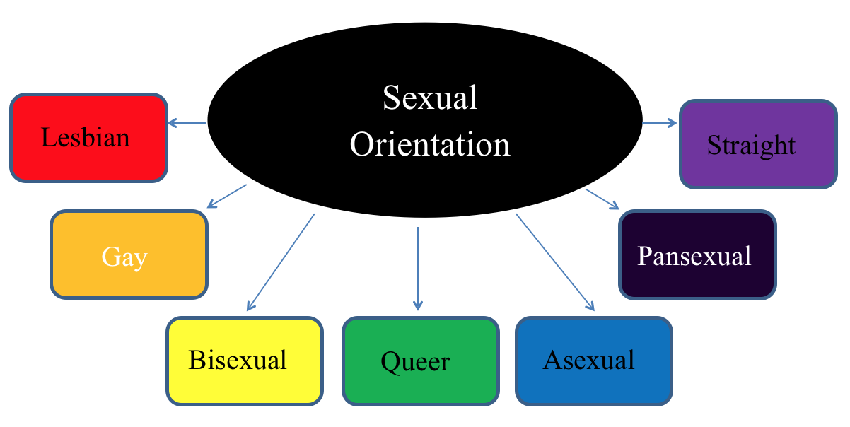 Is Sexual Orientation The Same As Gender Identity The Deaf Bee