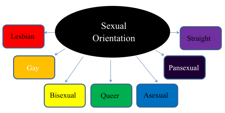 Is Sexual Orientation The Same As Gender Identity  The -7755